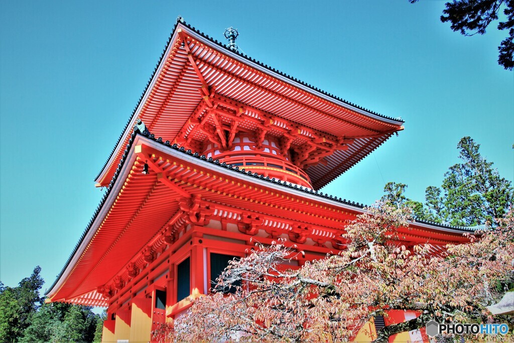 秋の根本大塔