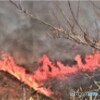 秋吉台の山焼き（3）