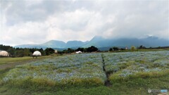 雲に覆われるくじゅう連山