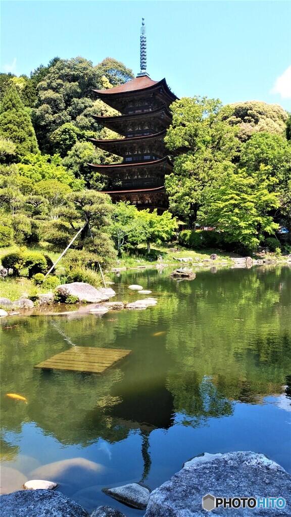 新緑に包まれた五重塔