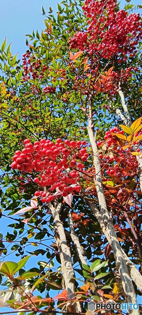 難を転じて福となす