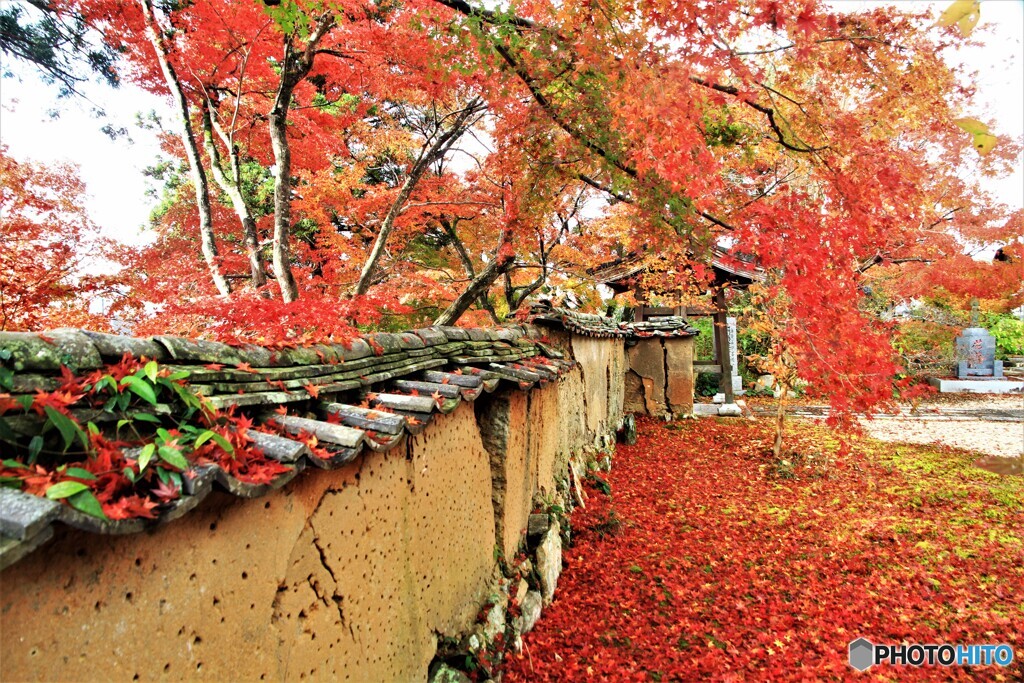 土塀と紅葉　Ⅱ