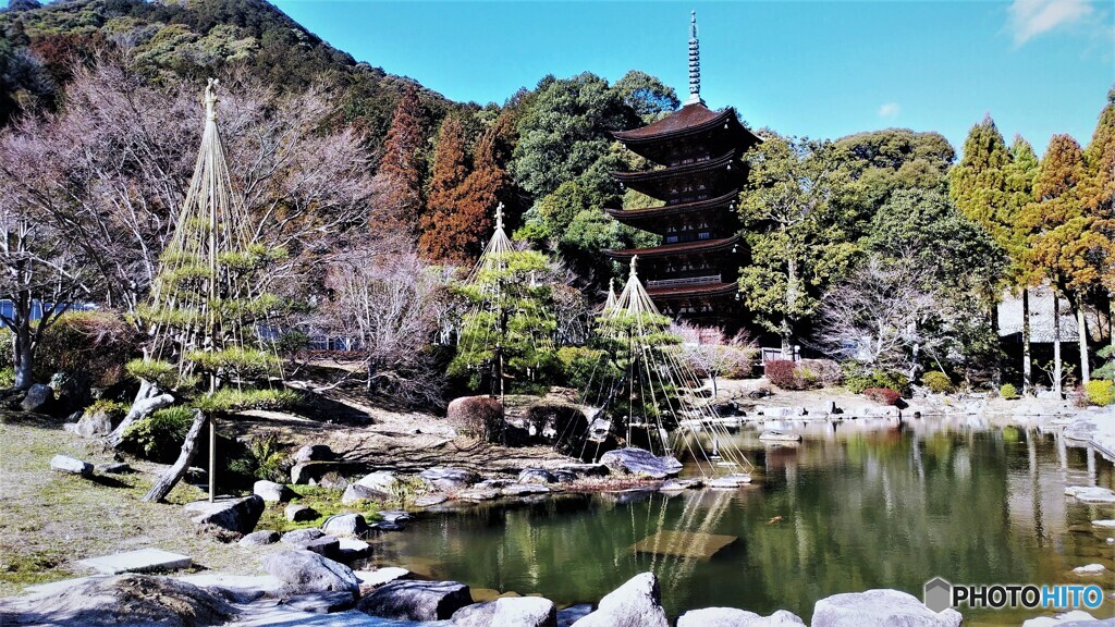 雪吊りと五重塔