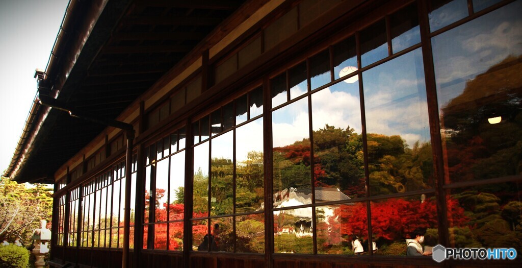 長府庭園の紅葉　⑤