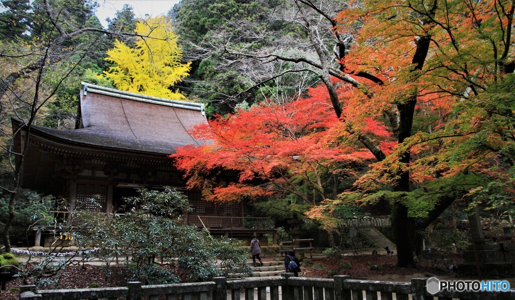 室生寺の紅葉　Ⅱ