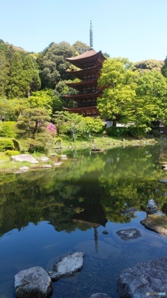 瑠璃光寺の五重塔
