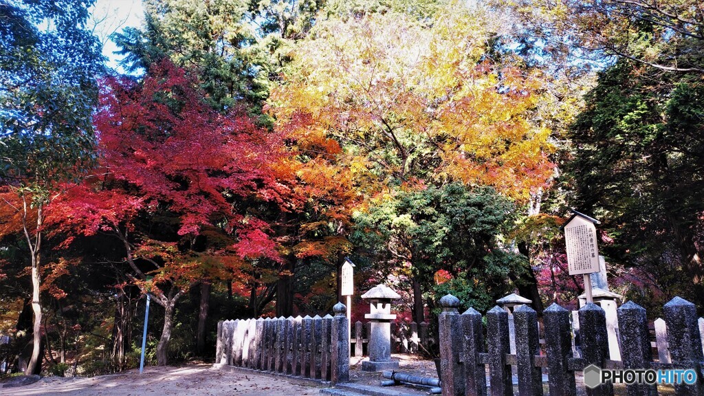 高杉晋作が愛でる紅葉