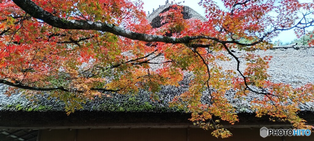 九年庵（秋の一般公開）②