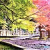 １６年前の東光寺