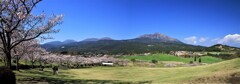 桜と霧島連山