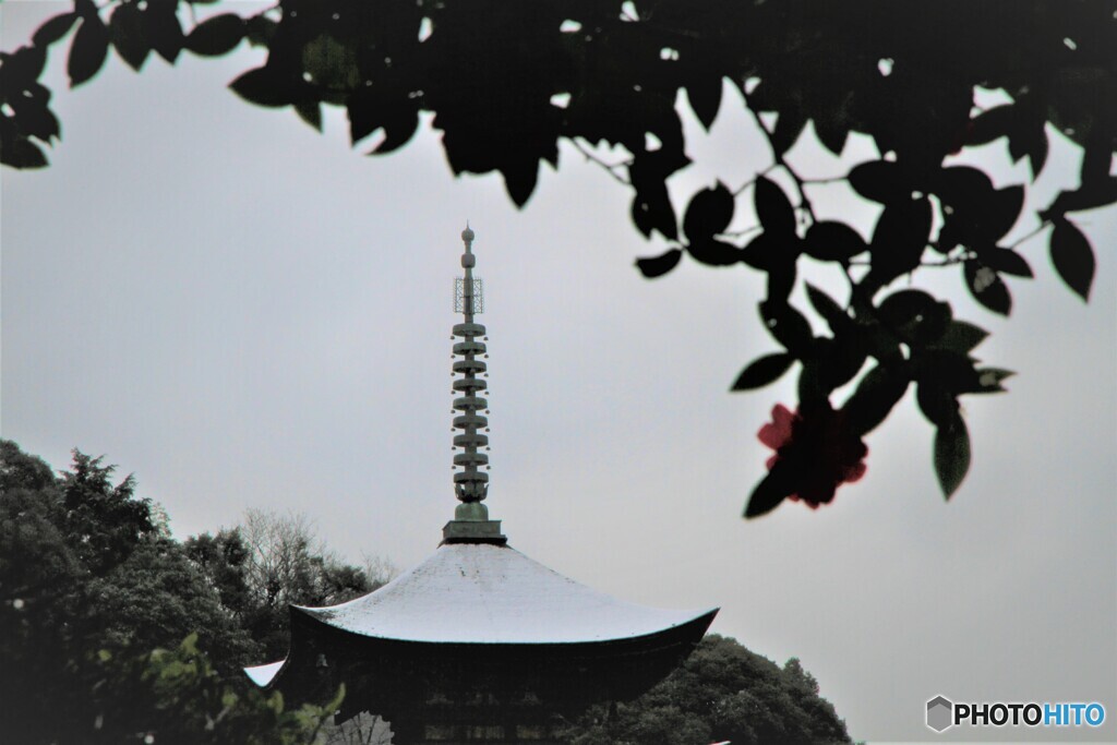 瑠璃光寺・五重塔（3）