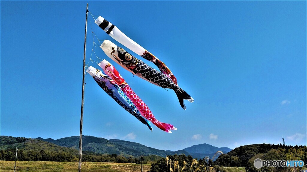上を目指す