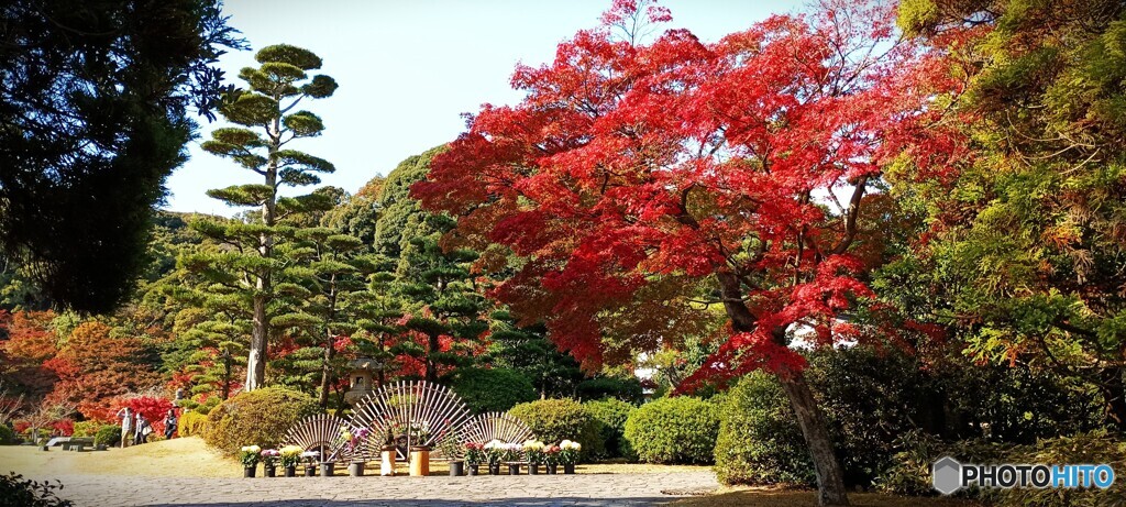 長府庭園の紅葉　①