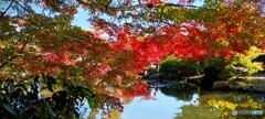 長府庭園の紅葉　④