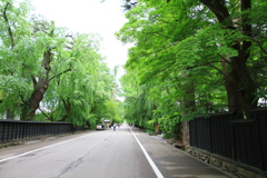 角館武家屋敷通り