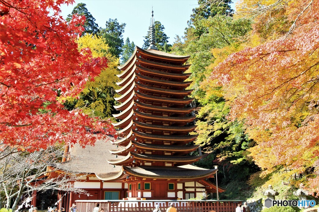紅葉と十三重の塔