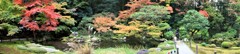 南禅院の庭園