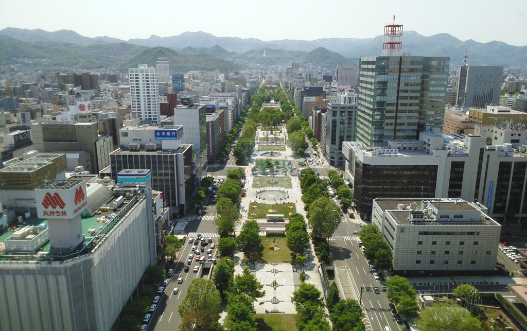 札幌タワーから見る大通り公園