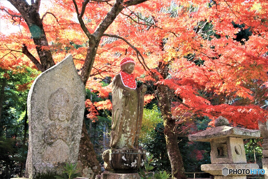 紅葉を見守る
