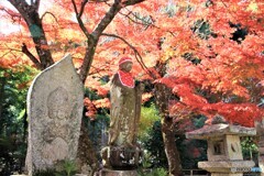 紅葉を見守る