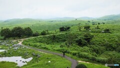 夏のカルスト大地　Ⅱ