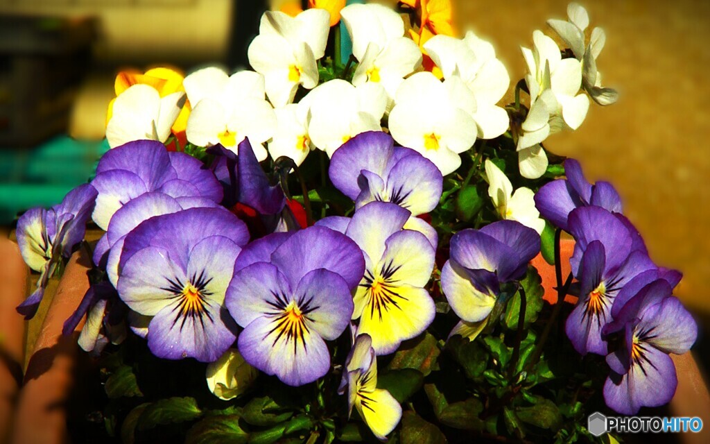 ハックション！