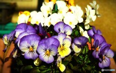 ハックション！