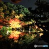 紅葉ライトアップ