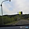 熊が出る国道？