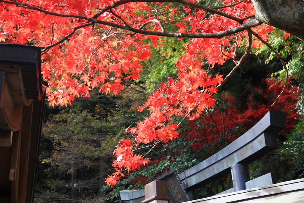 大山神社にて