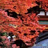 室生寺の紅葉　Ⅰ