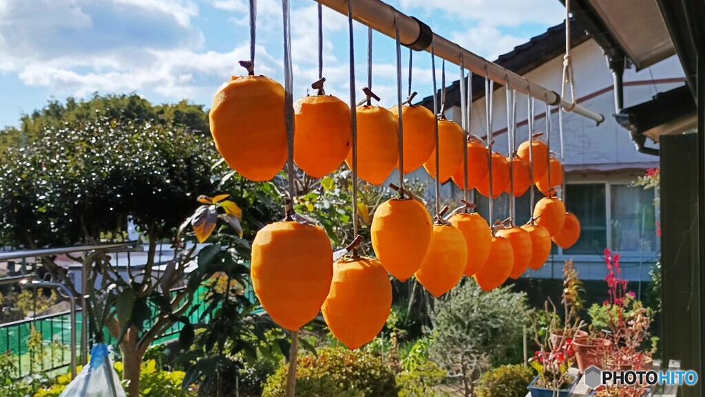 日射しを受けて