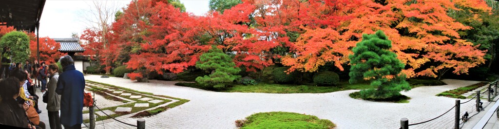 天授庵本堂前の庭園