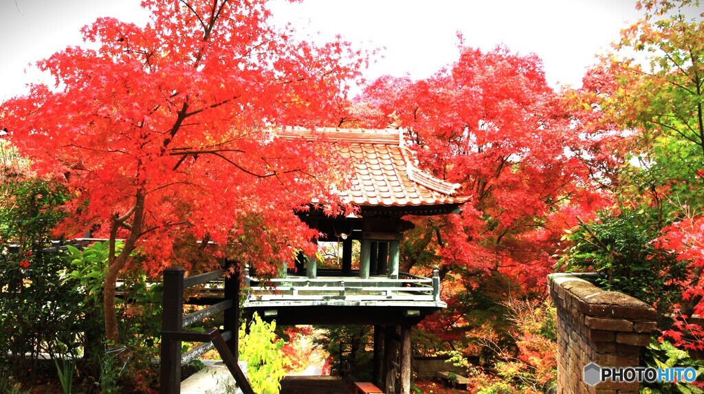 紅葉と小さな山門