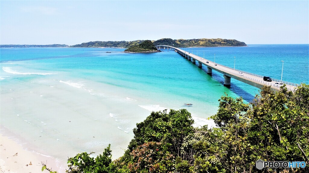 夏が待ち遠しい