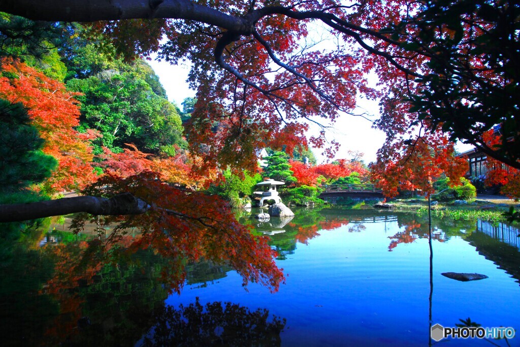無風の水面