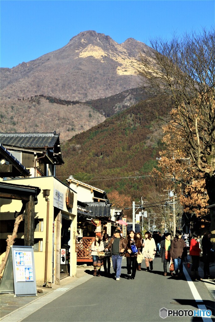 湯の坪街道から見る由布岳