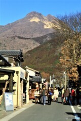 湯の坪街道から見る由布岳