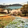 関門海峡を望む公園