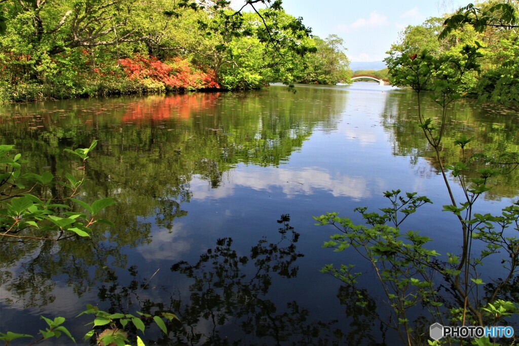 大沼公園