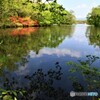大沼公園