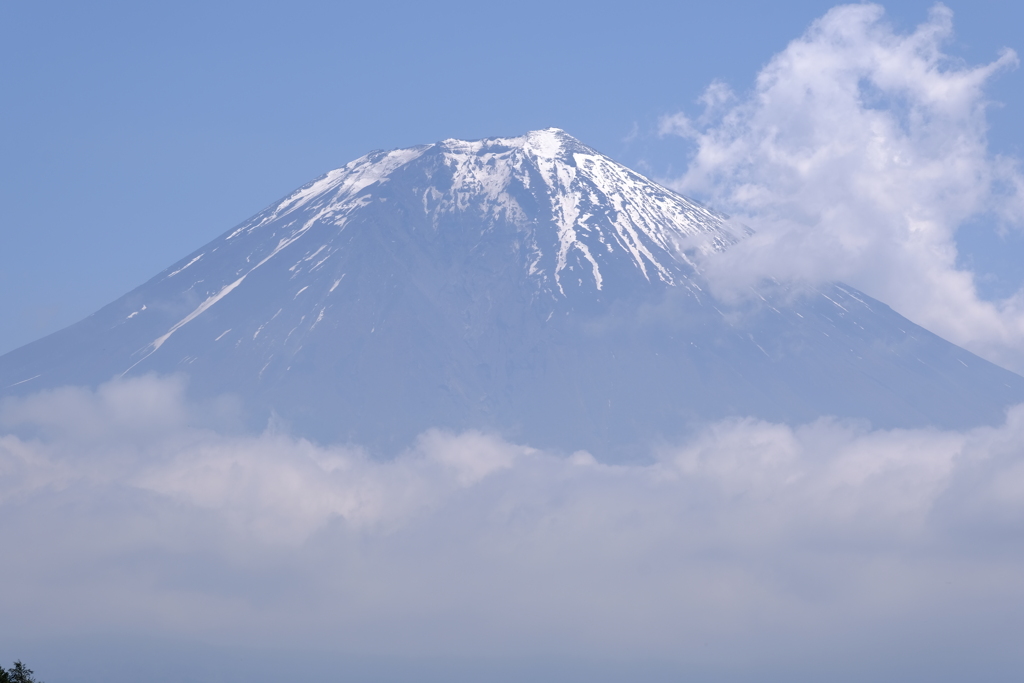 富士山