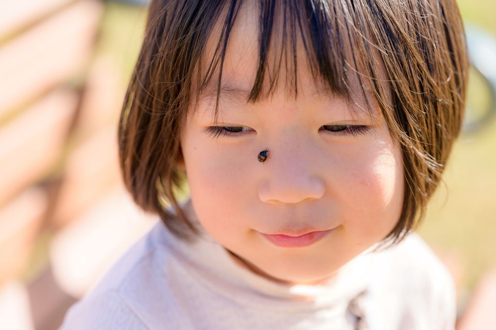 ねぇ、てんとう虫がとまったよ。