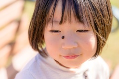 ねぇ、てんとう虫がとまったよ。