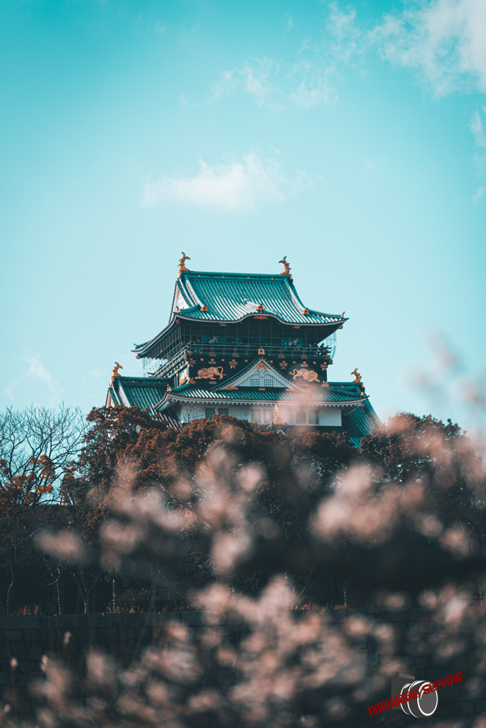 梅と大阪城