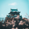 梅と大阪城