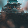 花浮かぶ大阪城
