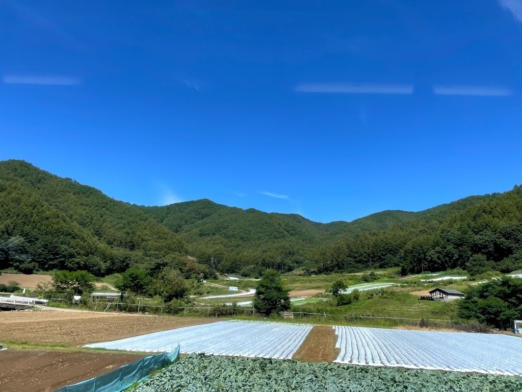 青空と田んぼ