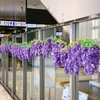 中川将志のお花が飾ってある駅の壁