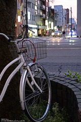 向こう側に渡りたい自転車